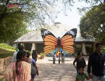 Bannerghatta National Park