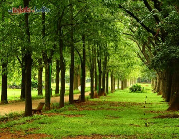 Cubbon Park