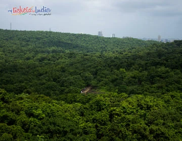 Sanjay Gandhi National Park