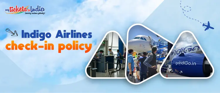 Indigo Airlines check-in policy